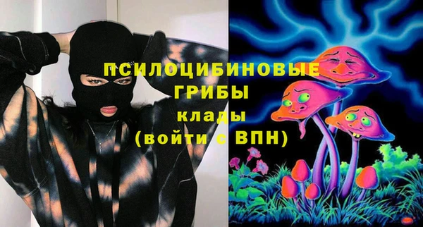 эйфоретик Пересвет