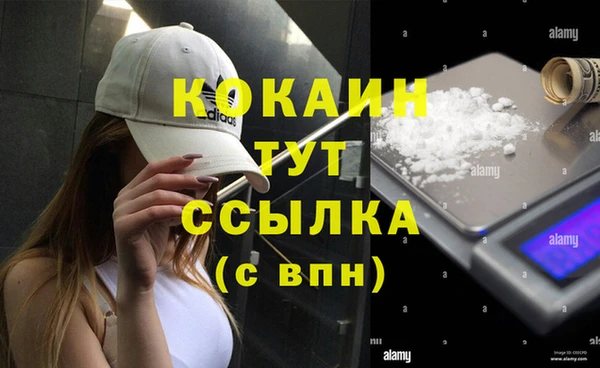 винт Аркадак