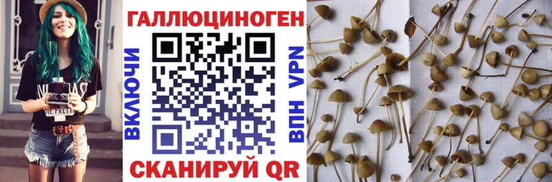 Псилоцибиновые грибы GOLDEN TEACHER  ссылка на мегу как зайти  Похвистнево 